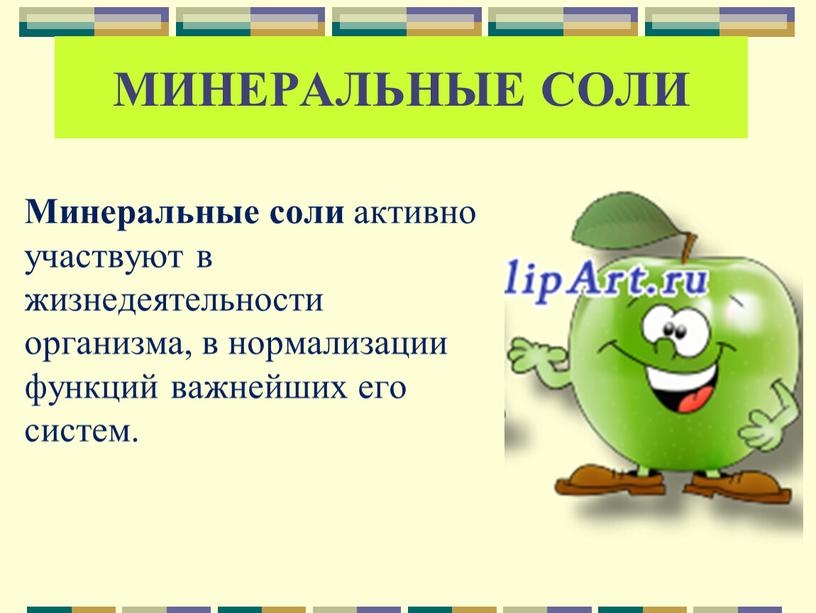 Минеральные соли активно участвуют в жизнедеятельности организма, в нормализации функций важнейших его систем