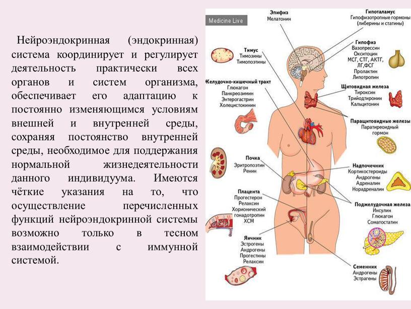 Нейроэндокринная (эндокринная) система координирует и регулирует деятельность практически всех органов и систем организма, обеспечивает его адаптацию к постоянно изменяющимся условиям внешней и внутренней среды, сохраняя…