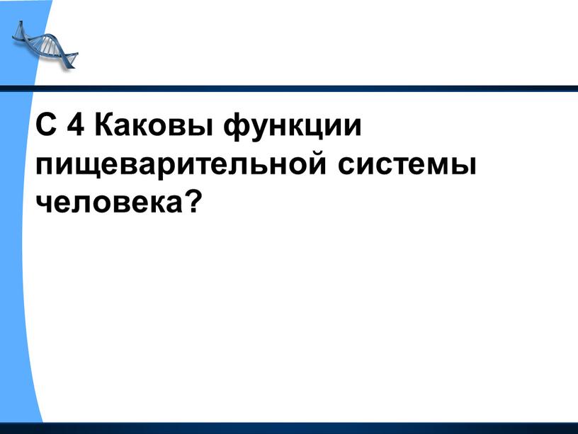 С 4 Каковы функции пищеварительной системы человека?