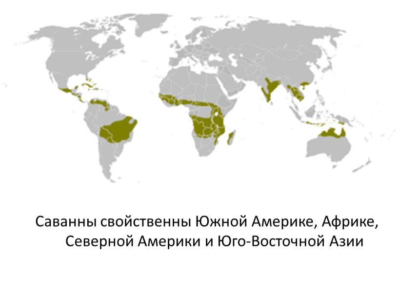 Саванны свойственны Южной Америке,