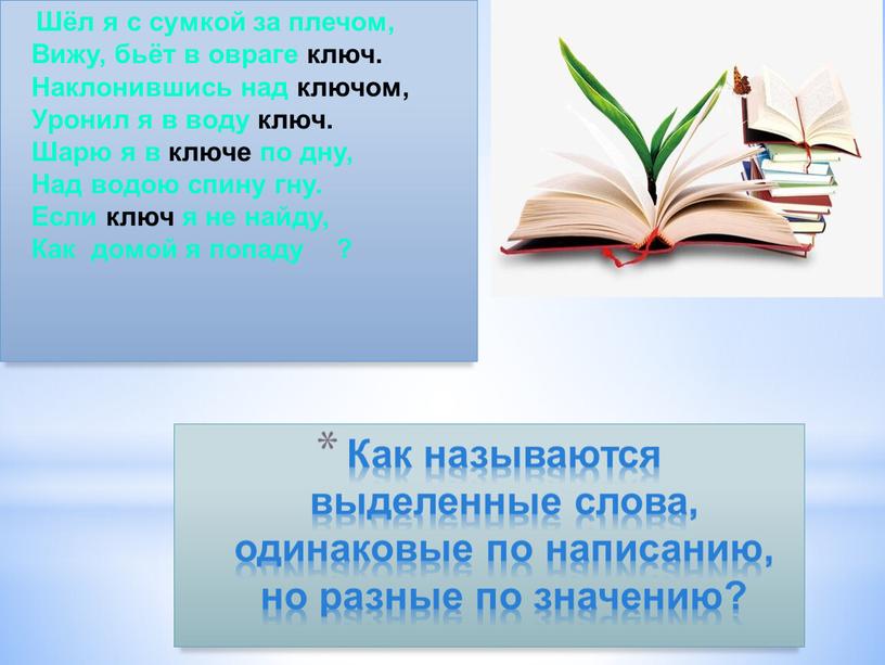 Как называются выделенные слова, одинаковые по написанию, но разные по значению?