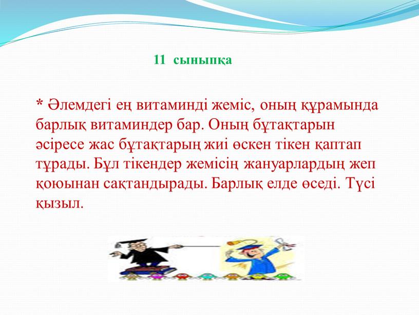 Оның бұтақтарын әсіресе жас бұтақтарың жиі өскен тікен қаптап тұрады