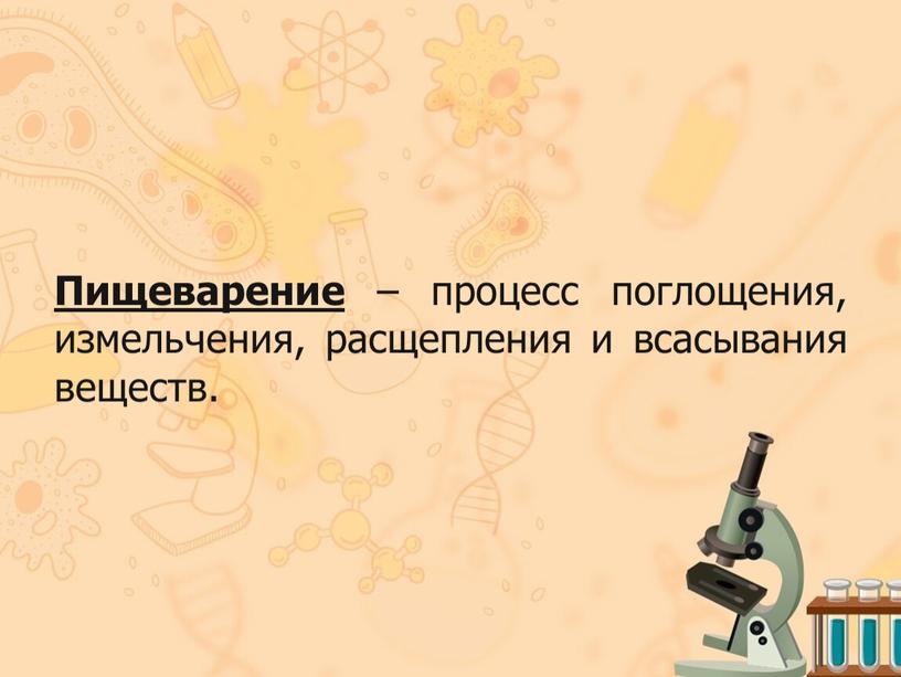 Пищеварение – процесс поглощения, измельчения, расщепления и всасывания веществ