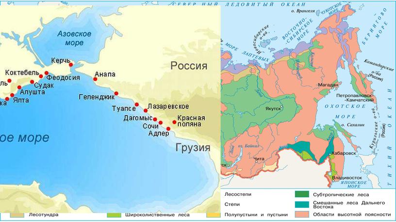 Виртуальная экскурсия "Путешествие по субтропикам"