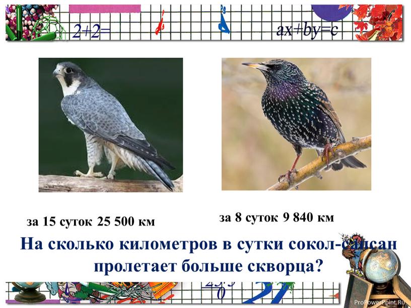 На сколько километров в сутки сокол-сапсан пролетает больше скворца? за 15 суток 25 500 км за 8 суток 9 840 км