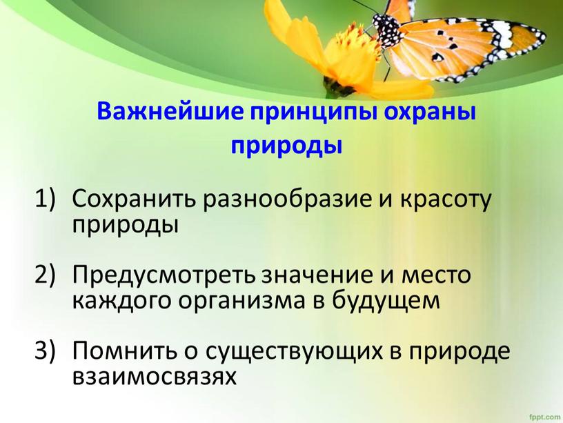 Важнейшие принципы охраны природы