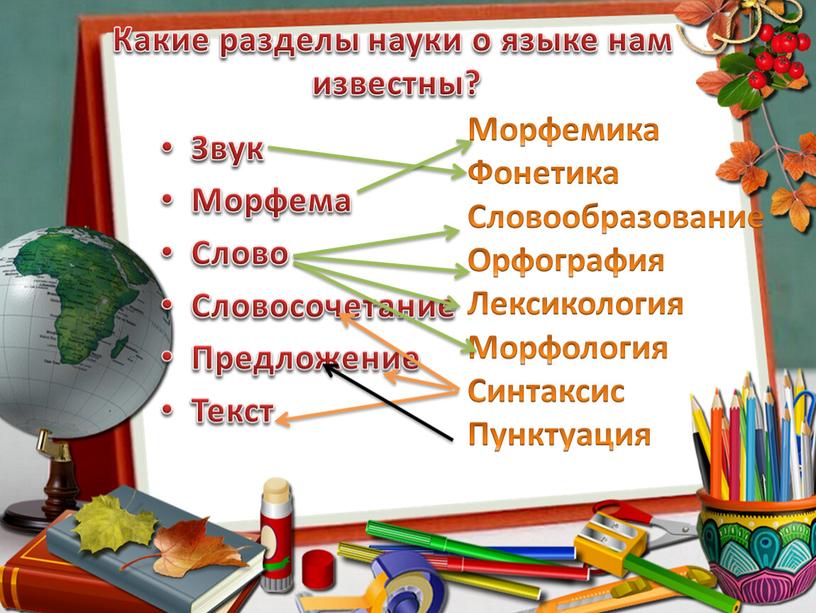 Какие разделы науки о языке нам известны?