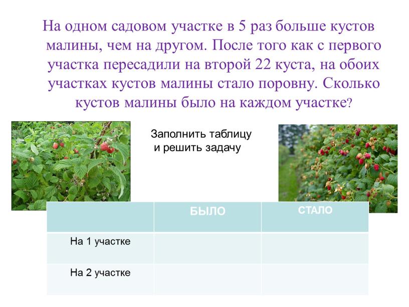 На одном садовом участке в 5 раз больше кустов малины, чем на другом