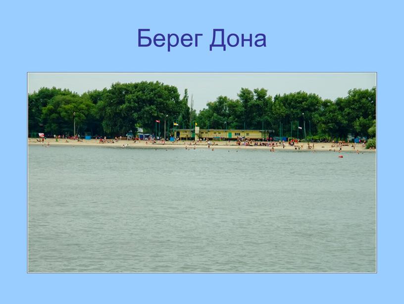 Берег Дона