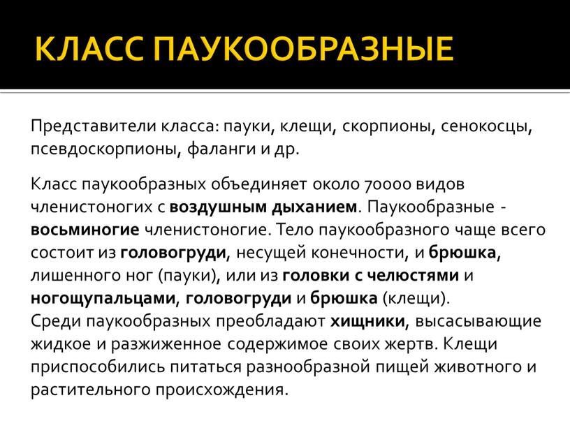 КЛАСС ПАУКООБРАЗНЫЕ Представители класса: пауки, клещи, скорпионы, сенокосцы, псевдоскорпионы, фаланги и др