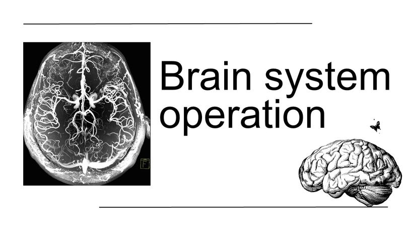 Brain system operation