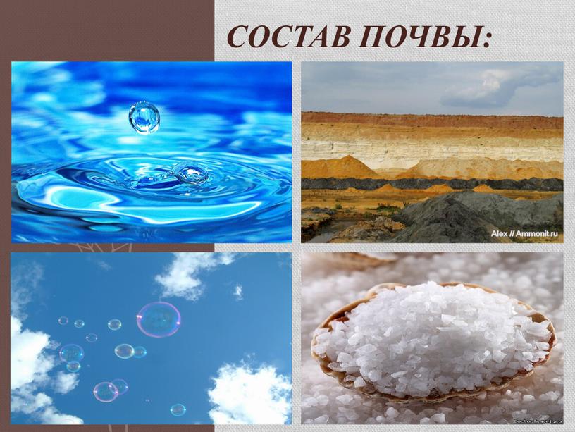 Состав почвы: