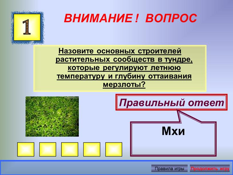 ВНИМАНИЕ ! ВОПРОС Назовите основных строителей растительных сообществ в тундре, которые регулируют летнюю температуру и глубину оттаивания мерзлоты?