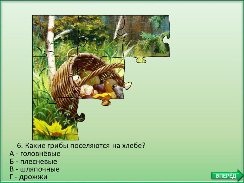 Б - плесневые 6. Какие грибы поселяются на хлебе?