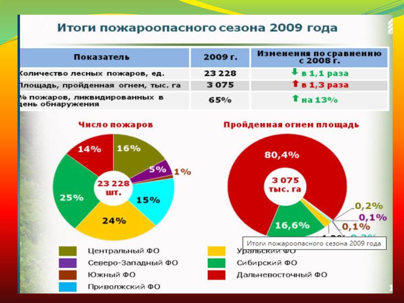 Организация государственного управления лесным хозяйством РФ.