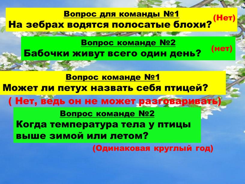 Вопрос для команды №1 На зебрах водятся полосатые блохи? (Нет)