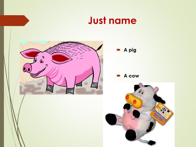 Just name A pig A cow