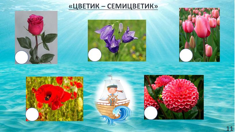 «ЦВЕТИК – СЕМИЦВЕТИК» 11