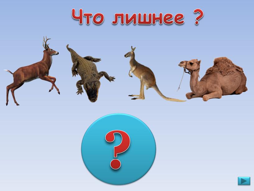 Что лишнее ? ?