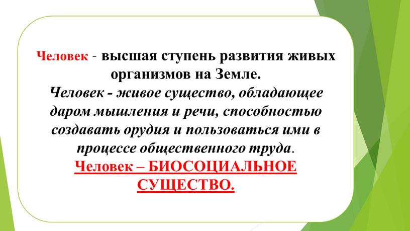 Человек – высшая ступень развития живых организмов на