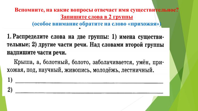 Вспомните, на какие вопросы отвечает имя существительное?