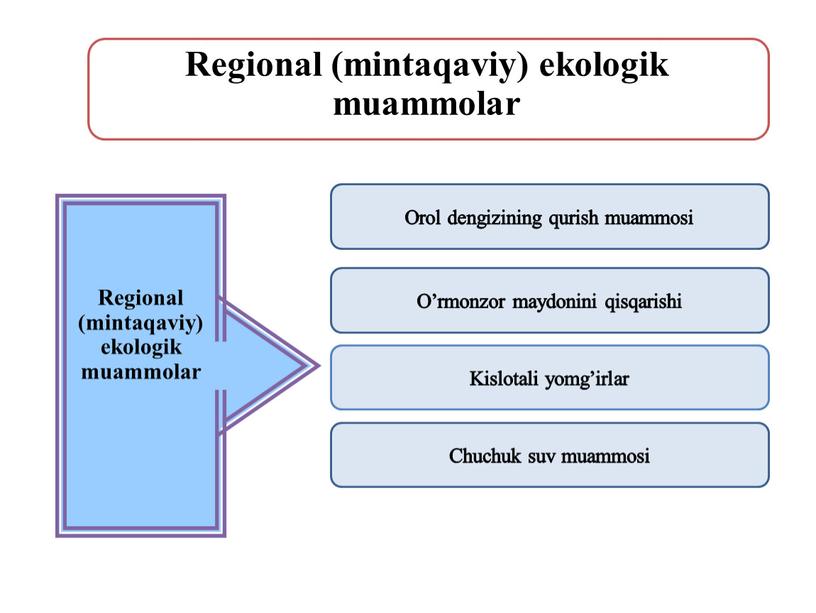 Regional (mintaqaviy) ekologik muammolar