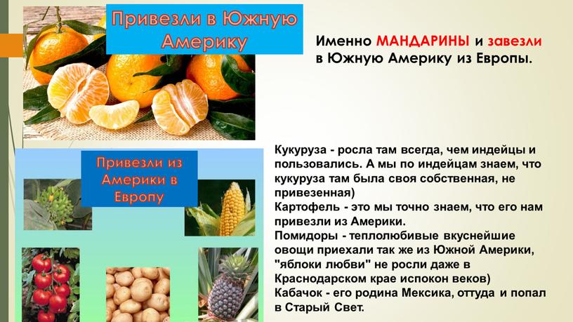 Именно МАНДАРИНЫ и завезли в Южную