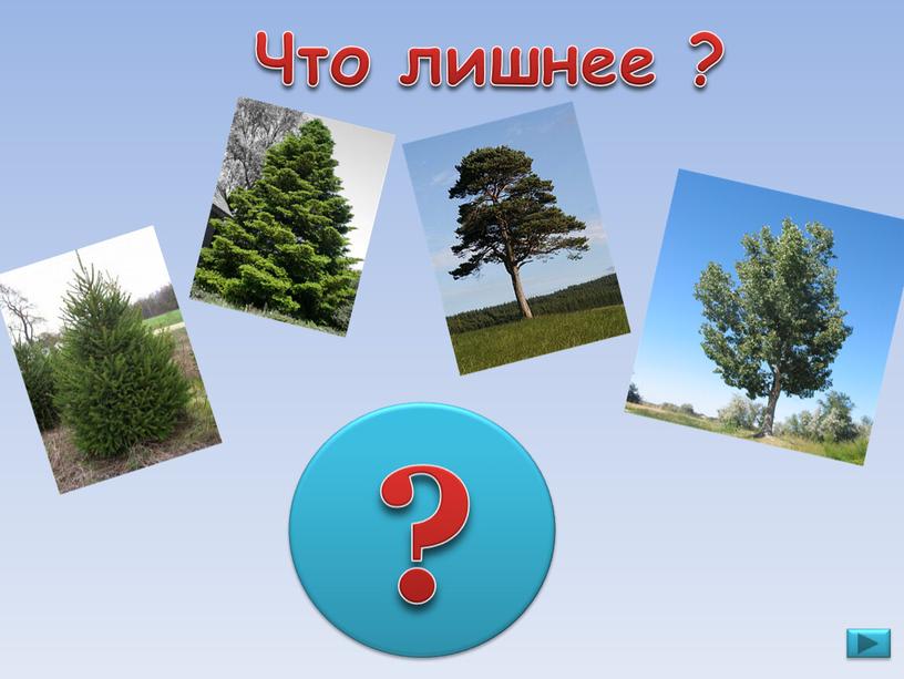 Что лишнее ? ?