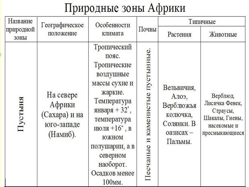 Презентация по теме: "Природные зоны Африки"