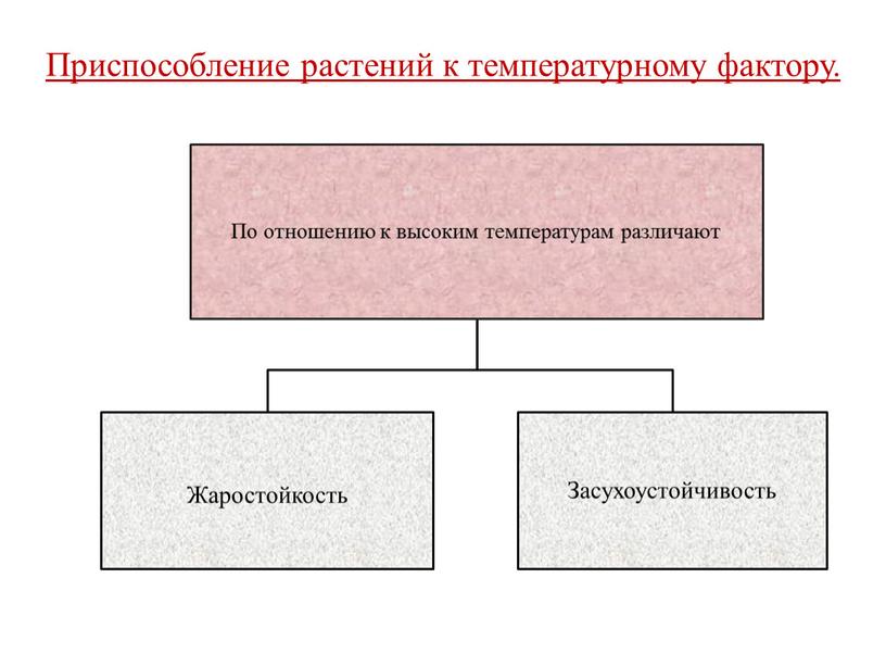 Приспособление растений к температурному фактору