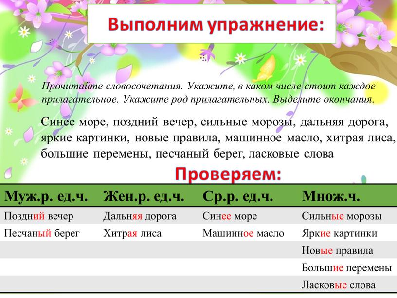 Прочитайте словосочетания. Укажите, в каком числе стоит каждое прилагательное