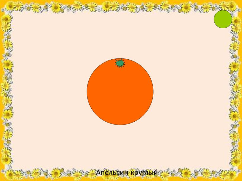 Апельсин круглый