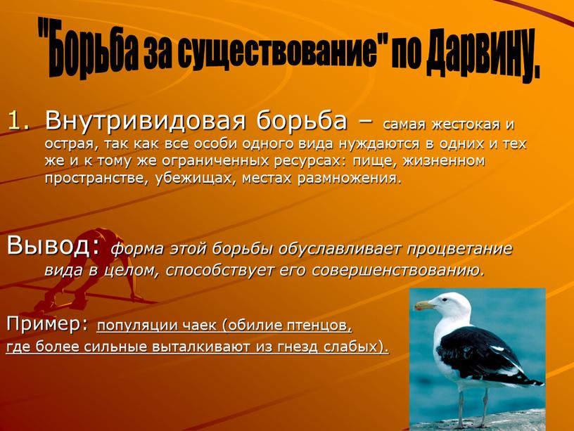 Внутривидовая борьба – самая жестокая и острая, так как все особи одного вида нуждаются в одних и тех же и к тому же ограниченных ресурсах:…