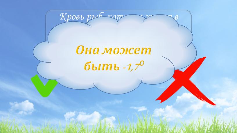 Кровь рыб, которые живут в Антарктиде, может быть ниже нуля градусов