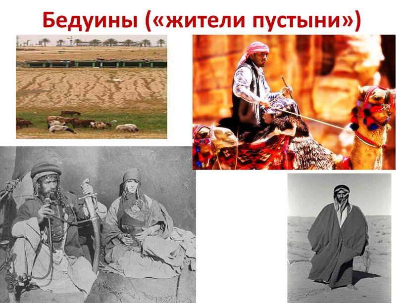 Бедуины («жители пустыни»)