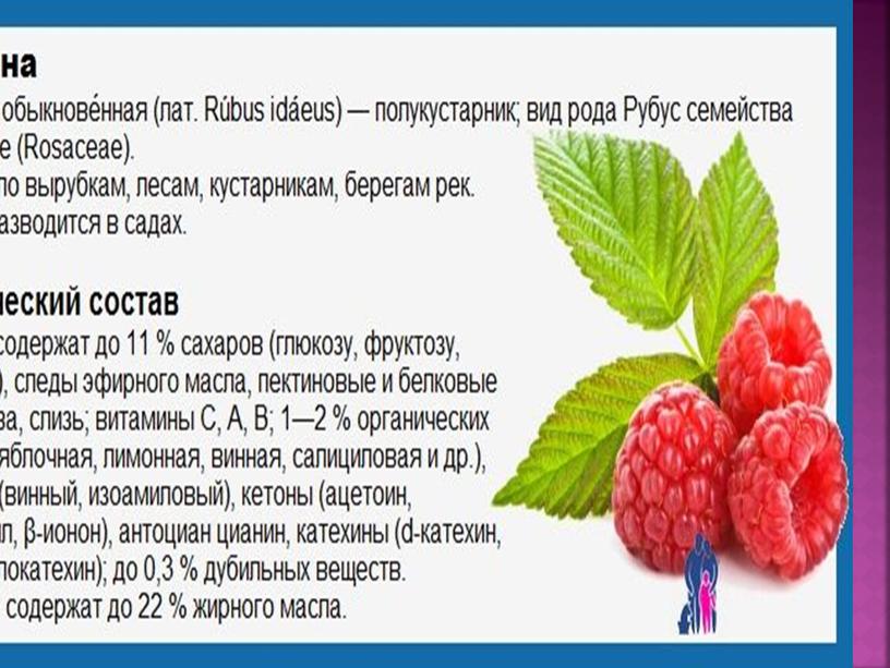 "Чудо-ягода малина или как укрепить своё здоровье"