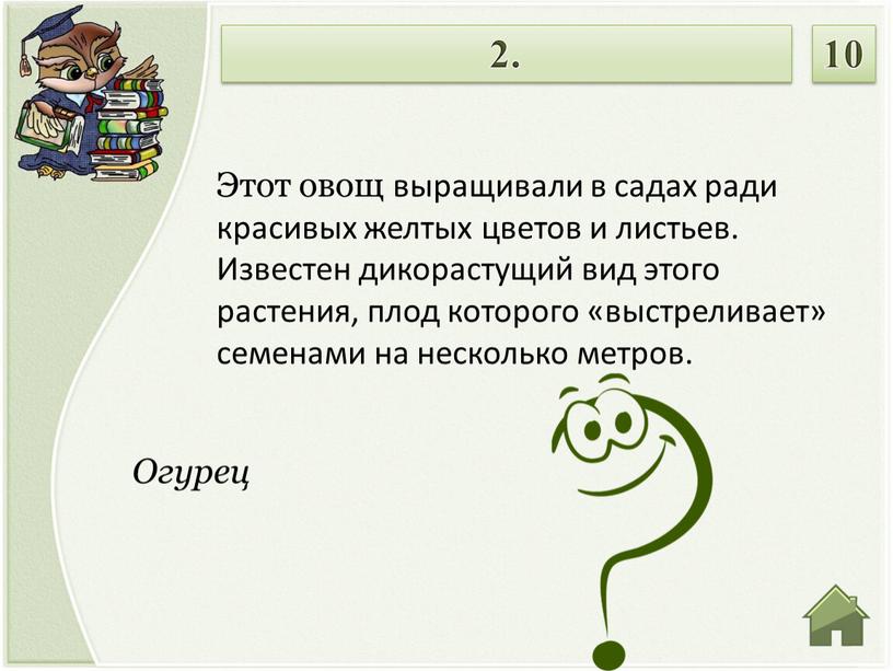 Огурец Этот овощ выращивали в садах ради красивых желтых цветов и листьев