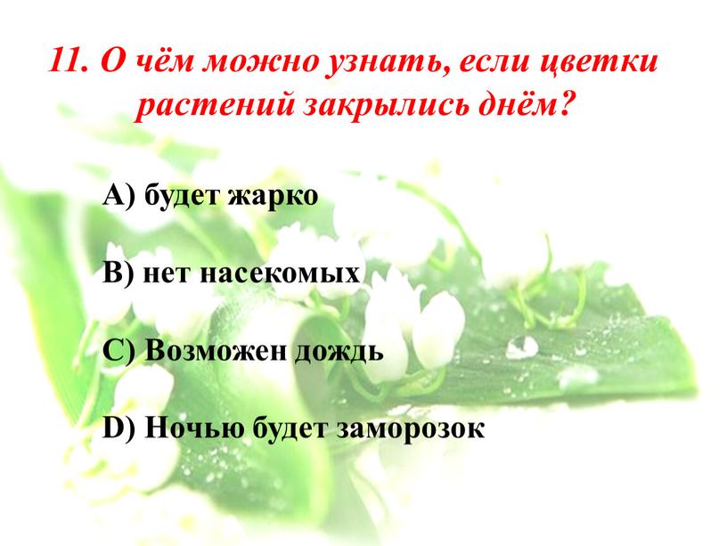 О чём можно узнать, если цветки растений закрылись днём?