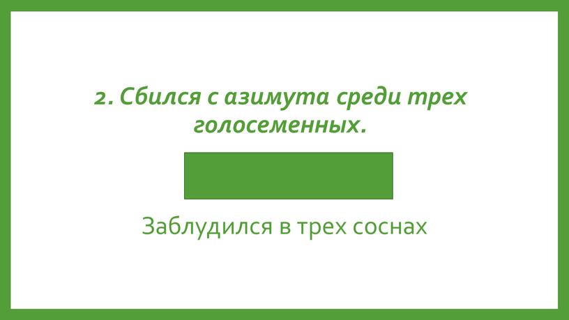 Заблудился в трех соснах 2. Сбился с азимута среди трех голосеменных