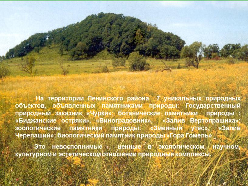 На территории Ленинского района 7 уникальных природных объектов, объявленных памятниками природы: