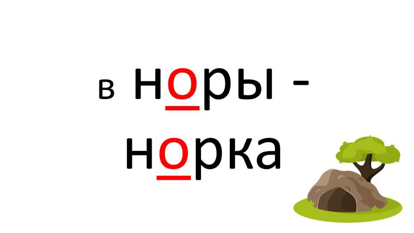 в норы - норка