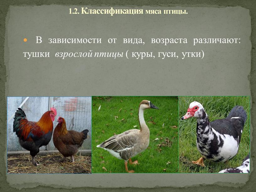 В зависимости от вида, возраста различают: тушки взрослой птицы ( куры, гуси, утки) 1