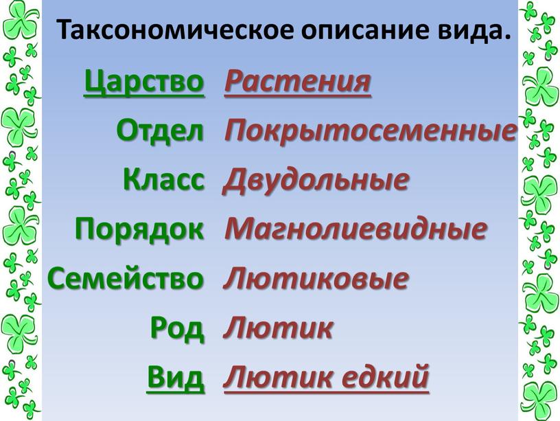 Таксономическое описание вида.