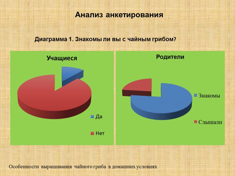 Анализ анкетирования Диаграмма 1