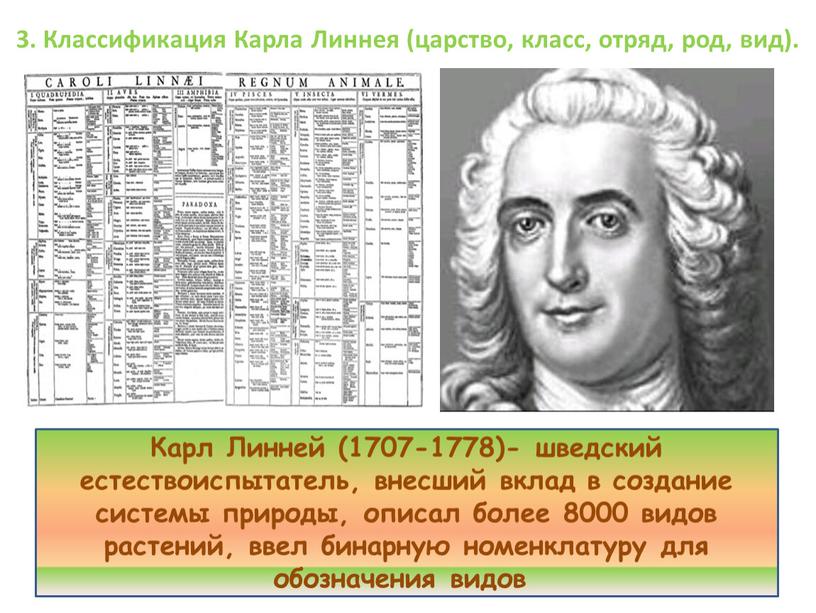 Карл Линней (1707-1778)- шведский естествоиспытатель, внесший вклад в создание системы природы, описал более 8000 видов растений, ввел бинарную номенклатуру для обозначения видов 3