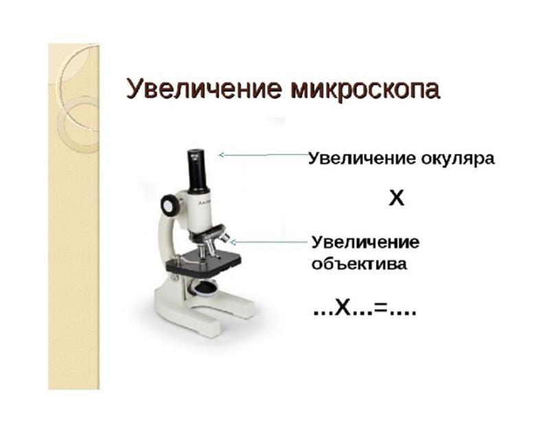 Презентация  "Увеличительные приборы".