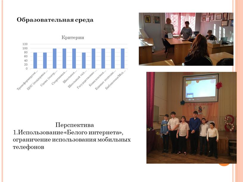 Перспектива 1.Использование «Белого интернета», ограничение использования мобильных телефонов