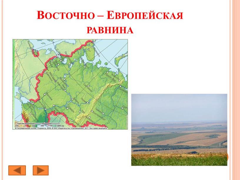 Восточно – Европейская равнина