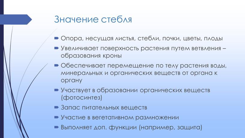 Значение стебля Опора, несущая листья, стебли, почки, цветы, плоды