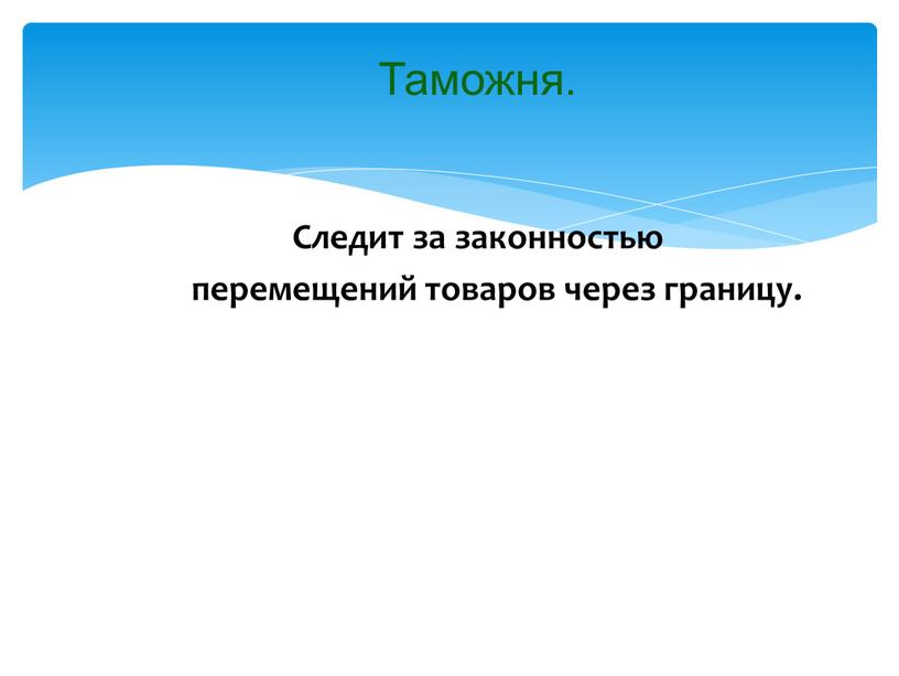 Таможня. Следит за законностью перемещений товаров через границу